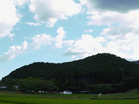 夏空 夏空の写真