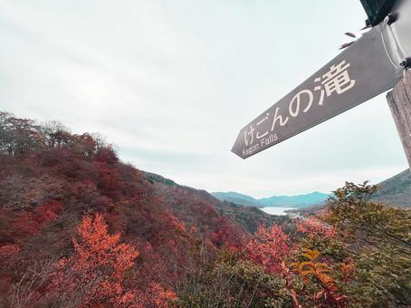 紅葉に包まれた、明智平ロープウェイ山頂駅 紅葉,秋,風景の写真素材