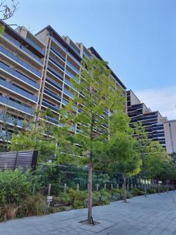 マンション マンションの写真
