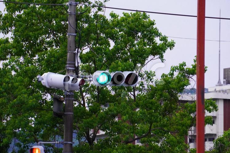 交差点の信号機 信号機,交差点,電柱の写真素材