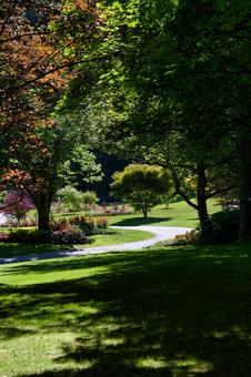 Path in the Botanical Garden VanDusen, JPG Path in the Botanical Garden VanDusen, JPG