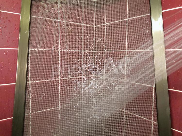 お風呂場のシャワーで網戸を水洗い 掃除,清掃,網戸の写真素材