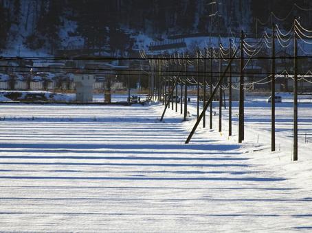 電柱が建ち並ぶ冬の道 電柱が建ち並ぶ冬の道の写真