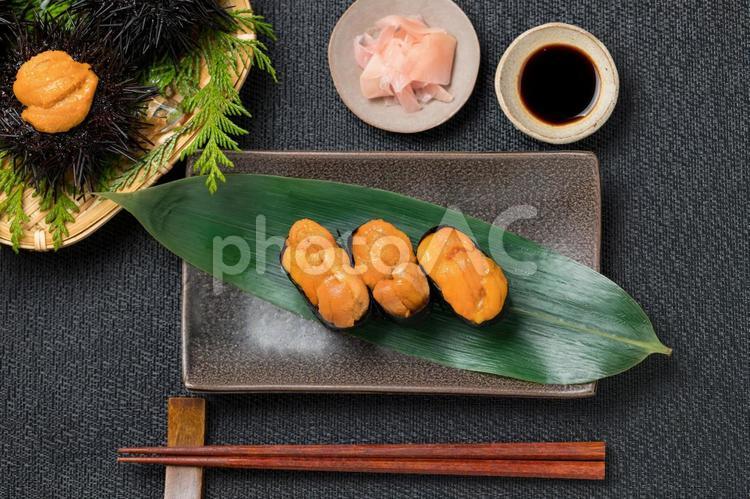 新鮮なウニのお寿司 寿司,うに,生うにの写真素材