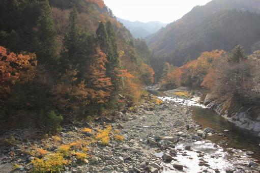 Autumn leaves around Dozan River, Shikoku Chuo City, Ehime Prefecture, JPG Autumn leaves around Dozan River, Shikoku Chuo City, Ehime Prefecture, JPG