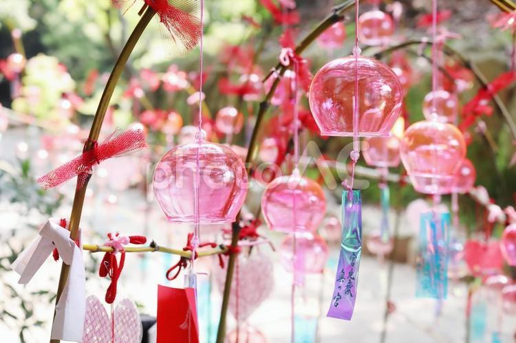 キラキラのかわいい赤いガラス風鈴 風鈴,夏,ガラス風鈴の写真素材