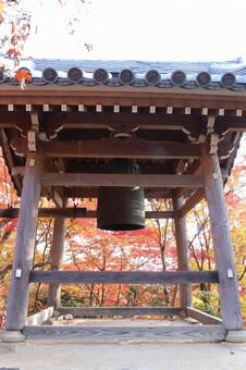 常寂光寺　鐘楼 常寂光寺,鐘楼,紅葉の写真素材