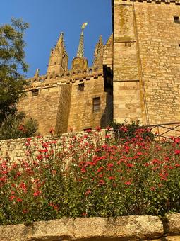 モンサンミッシェルの島内 モンサンミッシェル,朝,散歩の写真素材