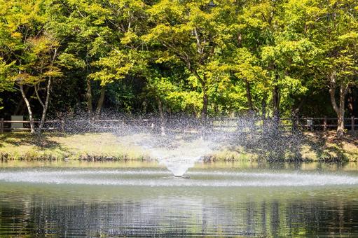 公園の噴水⑸ 噴水,公園,池の写真素材
