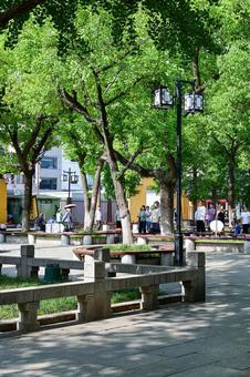 蘇州・玄妙観（観前街） 蘇州,玄妙観,道教の写真素材