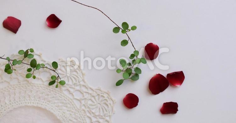背景、薔薇の花びらとグリーン、白バック、フレーム素材 真紅,赤,ハートの写真素材