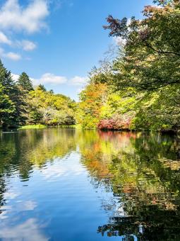 軽井沢・雲場池に映る秋の色彩の写真