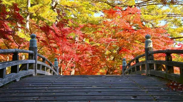 ひょうたん池にかかる橋と紅葉 ひょうたん池にかかる橋と紅葉の写真