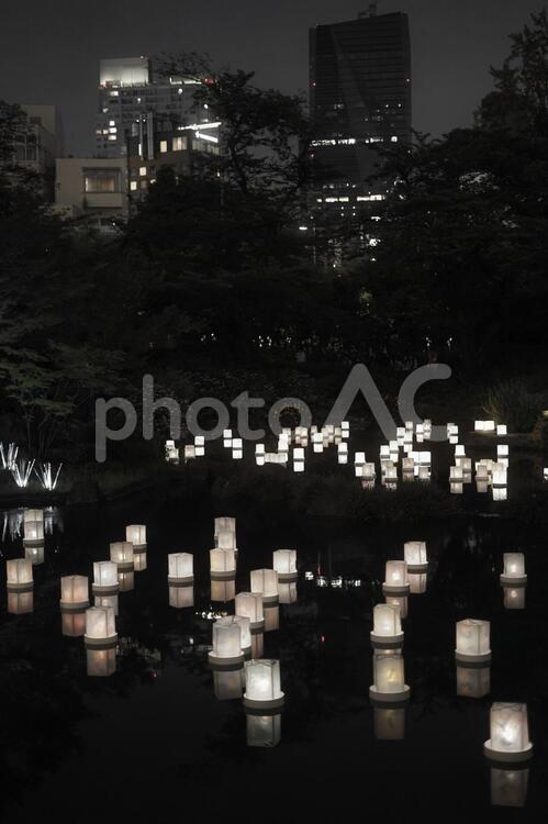 灯篭流しのイメージ とうろう,灯籠,燈籠の写真素材