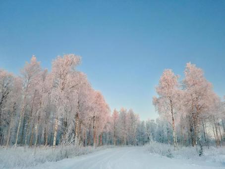 北欧 美しい雪景色 雪,青空,大雪の写真素材