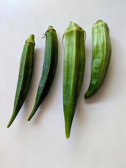 オクラ オクラ オクラ,野菜,緑の写真素材