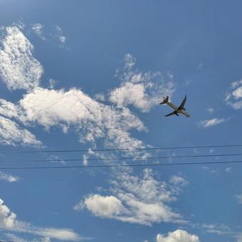 夏空を降下してくる飛行機 夏空を降下してくる飛行機 夏,夏空,飛行機の写真素材