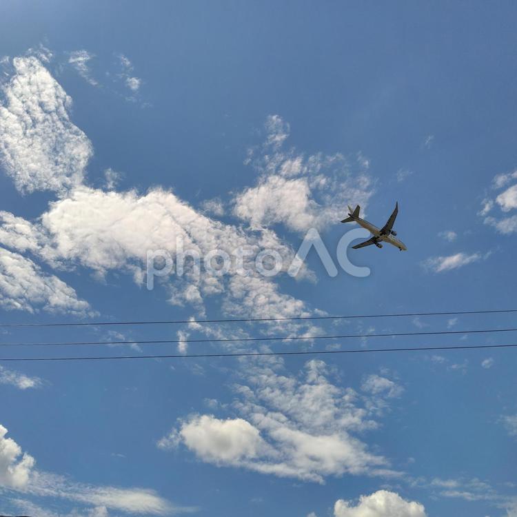 夏空を降下してくる飛行機 夏,夏空,飛行機の写真素材