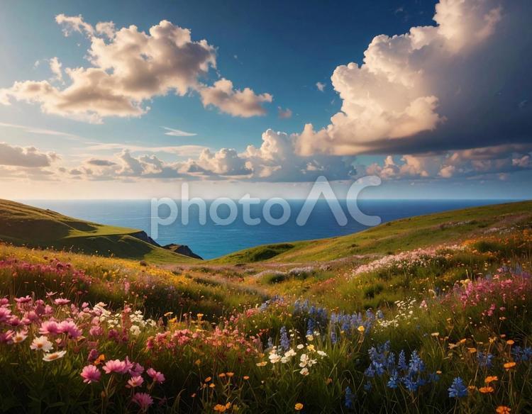 花の咲く丘と海が見える風景 山,丘,草原の写真素材