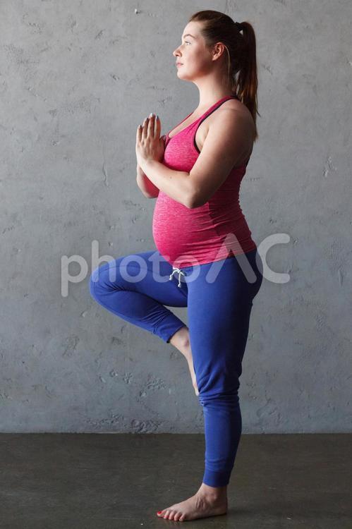 マタニティヨガ13 ヨガ,女性,マタニティの写真素材