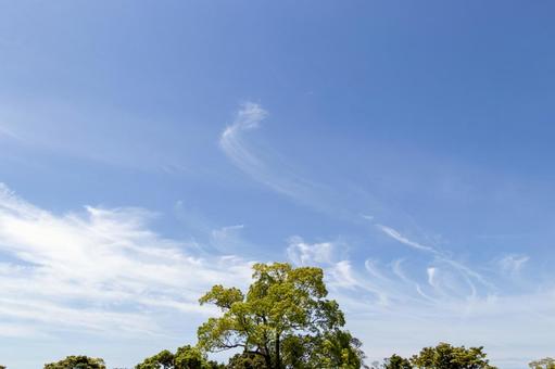あぐりの丘の青空と雲03 あぐりの丘の青空と雲03の写真