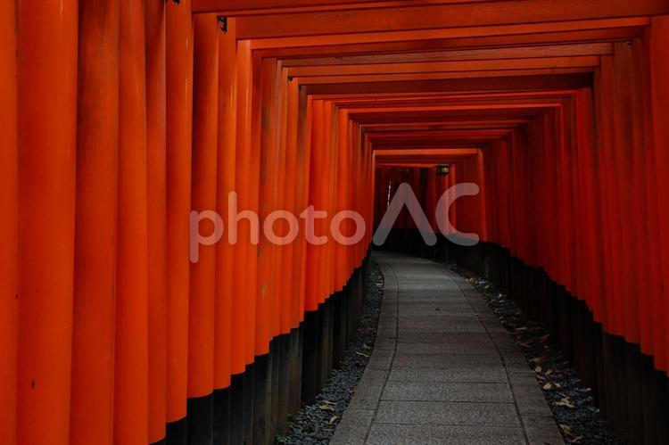 伏見稲荷大社の鳥居 伏見稲荷,鳥居,幽玄の写真素材