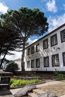 アゾレス諸島の村 アゾーレス諸島,ポルトガル,サンタマリア島の写真素材