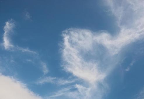 秋の空 秋の空 青空,白い雲,晴天の写真素材