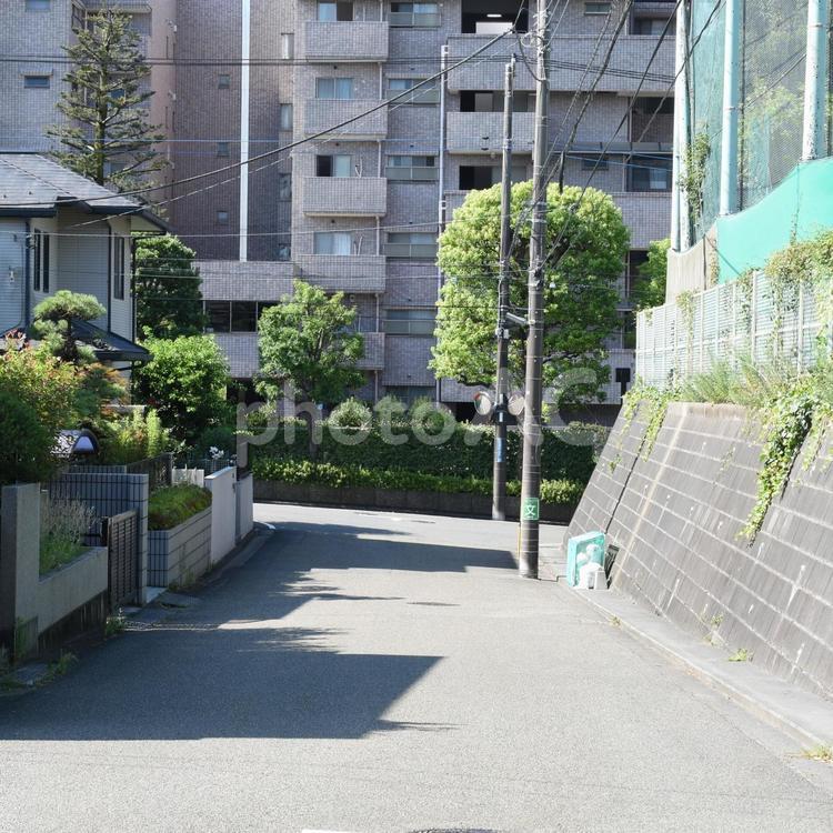 梅雨明け前の朝の横浜市青葉区の住宅街 神奈川県横浜市,横浜市青葉区,住宅地の写真素材