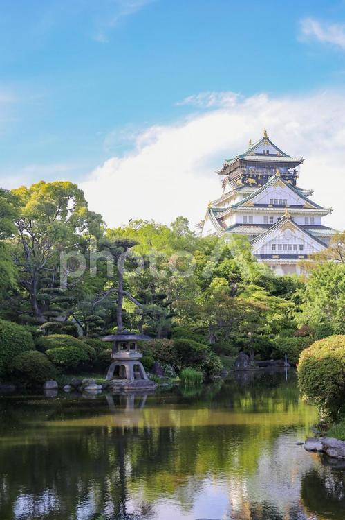 大阪城と池　縦画像 大阪城,池,和風庭園の写真素材