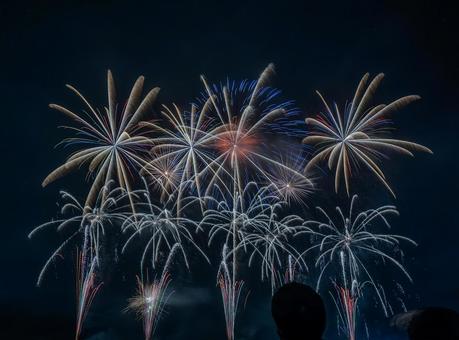 第22回　こうのす花火大会 こうのす花火大会,花火,fireworksの写真素材