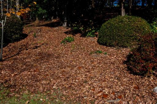 紅葉の落ち葉の吹き溜まり 北摂,晴天,晩秋の写真素材