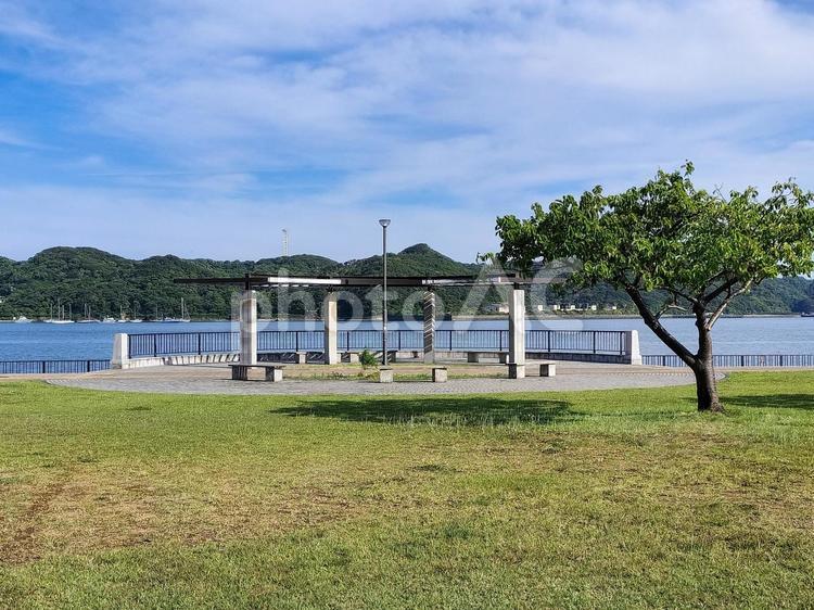 まどが浜海遊公園と下田港の海 まどが浜海遊公園,海,下田港の写真素材