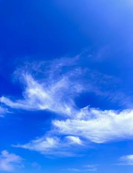繊細な雲 繊細な雲の写真