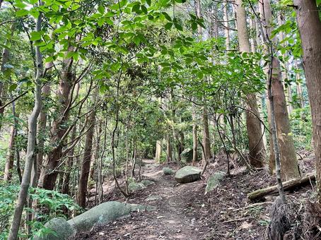 Tobosan Mountain Trail 3, JPG