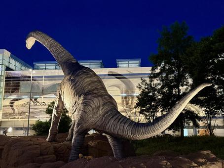 福井駅恐竜のモニュメント　北陸の地方都市 福井駅,夜,ライトアップの写真素材