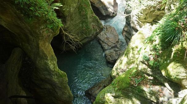 渓谷の清流と苔むした岩 渓谷の清流と苔むした岩 中津渓谷,渓谷,清流の写真素材
