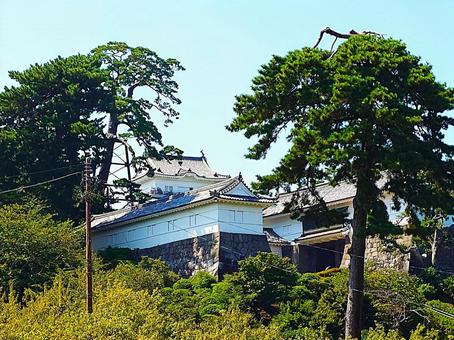 小田原城（おだわらじょう） 小田原城,おだわらじょう,神奈川県小田原市の写真素材
