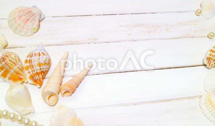 貝殻の枠素材 貝殻の枠素材 貝殻,夏,飾りの写真素材
