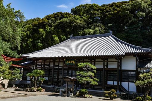 永渓山泰智寺 永渓山泰智寺 寺院,寺,本堂の写真素材