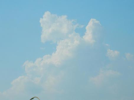 【風景写真】夏空 【風景写真】夏空の写真