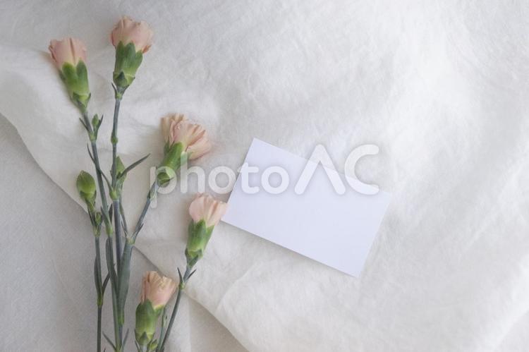 ピンクの花とカード プレゼント,花,メッセージカードの写真素材