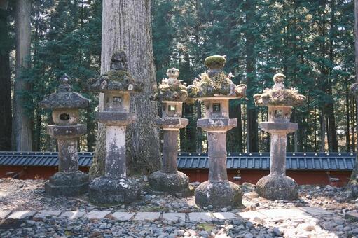 石灯籠 参道,景観,風景の写真素材