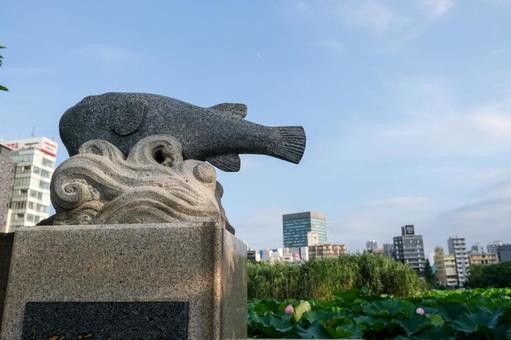 不忍池の風景 上野,上野恩賜公園,不忍池の写真素材