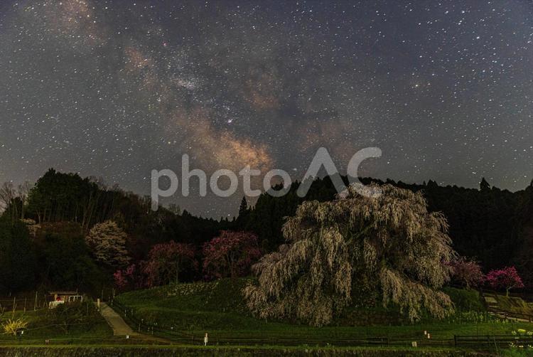 奈良県宇陀市　星空と又兵衛桜 又兵衛桜,桜,天の川の写真素材