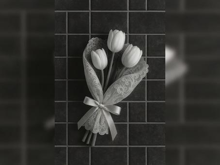 暗めのタイルに映える白いチューリップ 暗めのタイルに映える白いチューリップの写真
