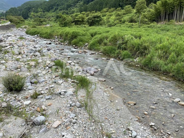 川を挟んで対照的な状態の風景 川,河川,河川敷の写真素材
