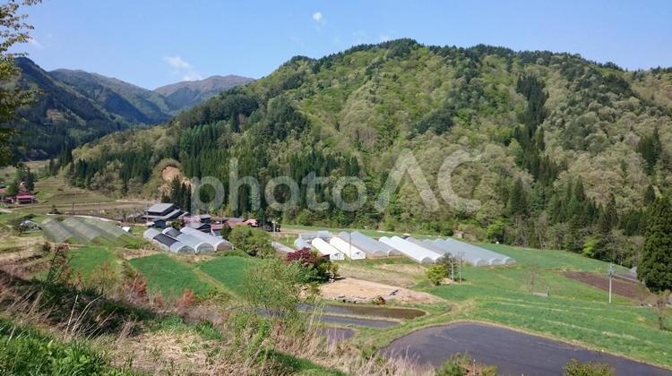 日本の原風景 田舎,風景,夏の写真素材