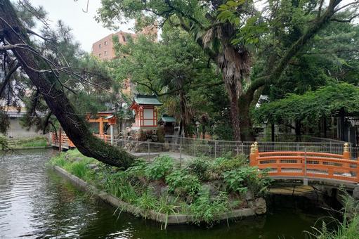 愛知県-真清田神社-神池 愛知県-真清田神社-神池 真清田神社,神社,尾張国の写真素材
