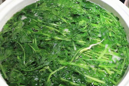 葉大根を茹でる 葉大根を茹でるの写真